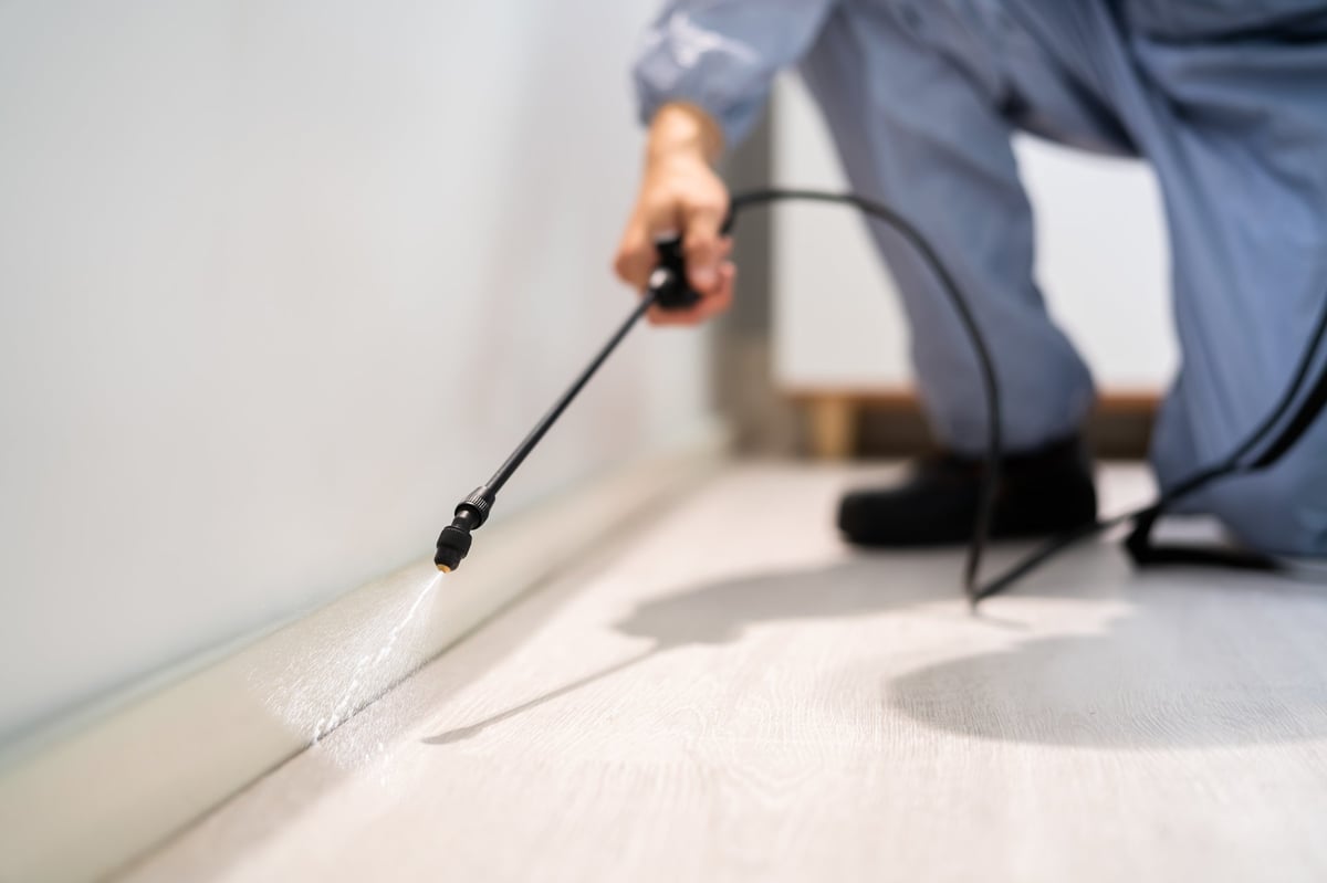 Pest control exterminator spraying pesticide treatment in an office, created as an independent concept for a pest control company website