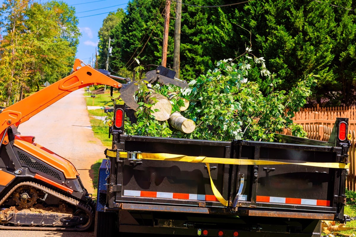 Tree worker collecting branches and debris with a loader after a storm, created as an independent concept for a Tree Care Company website